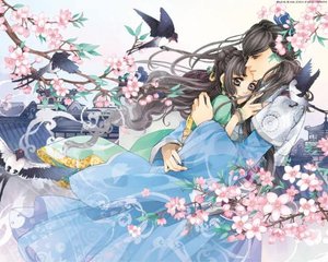 深入了解 蘑菇Tv网页版登录入口